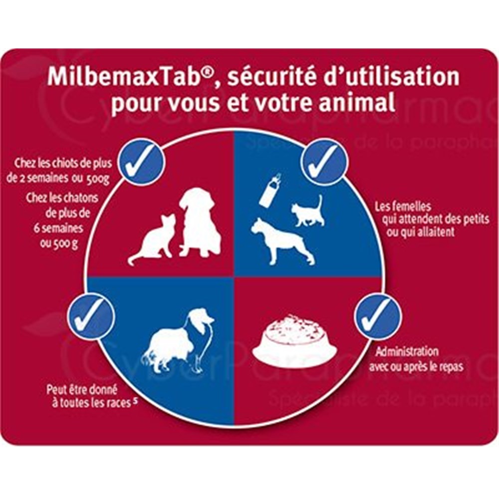 Milbemax Chat Comprime Antiparasitaire Endectocide Pour Chat Bt 50