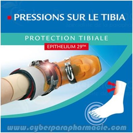 SHIN PROTECTION Epithelium 29 (2)
