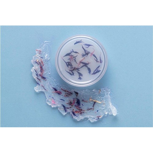 Baume Lèvres et Joues teintées aux pétales de fleures