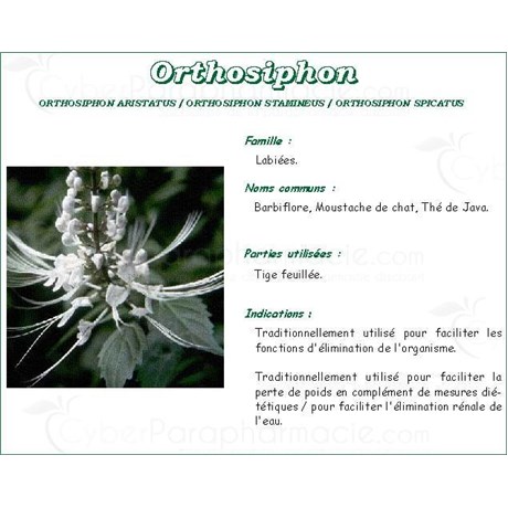ORTHOSIPHON SHEET IPHYM, Leaf orthosiphon bulk. - 100 g bag