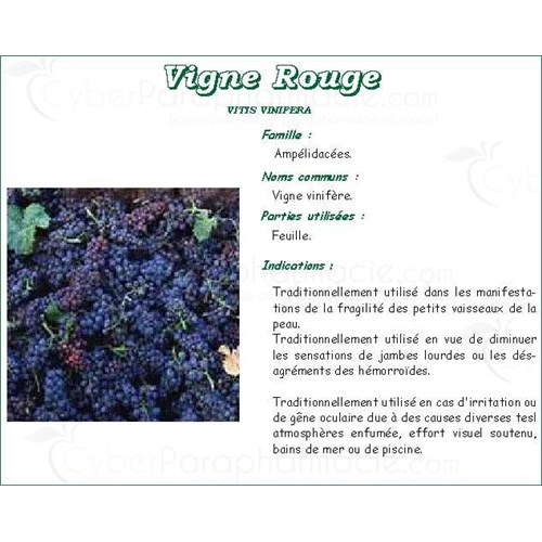 RED VINE GOOD PRODUCERS red vine leaf, bulk. - Bt 50 g # 4