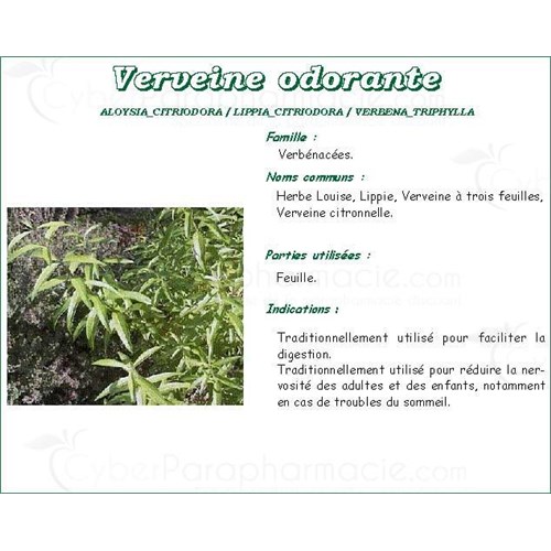 Verbena TEA Mediflor, verbena leaf, bulk. - Bt 25 g # 4