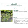ANETH PHARMA PLANTES, Semence d'aneth, vrac. - bt 250 g