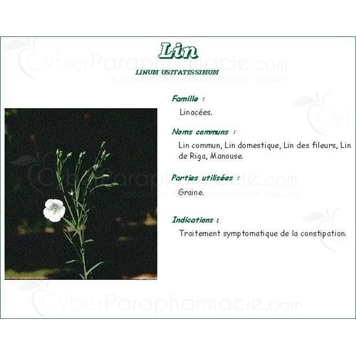GRAINE DE LIN CULTIVÉ PHARMA PLANTES, Semence de lin cultivé, vrac. entière - sac 250 g