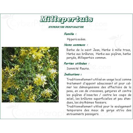 MILLEPERTUIS PHARMA PLANTES, Sommité fleurie de millepertuis commun, vrac. coupée - sac 250 g