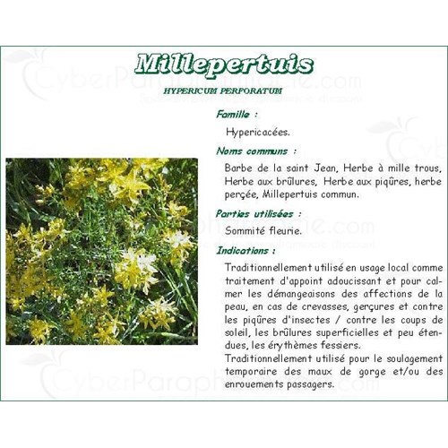 MILLEPERTUIS PHARMA PLANTES, Sommité fleurie de millepertuis commun, vrac. coupée - sac 250 g
