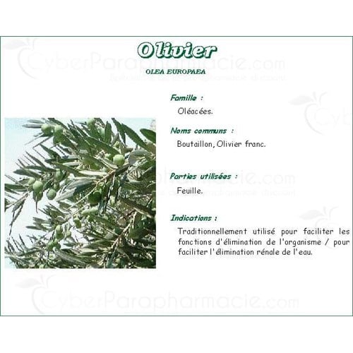 OLIVIER PHARMA PLANTES, Feuille d'olivier cultivé, vrac. entière - sac 250 g