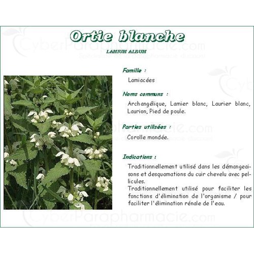 ORTIE BLANCHE PLANTE IPHYM, Ortie blanche plante, vrac. coupée - sac 250 g