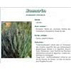 ROMARIN FEUILLE PHARMA PLANTES, Feuille de romarin, vrac. entière - sac 250 g