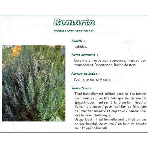ROMARIN FEUILLE PHARMA PLANTES, Feuille de romarin, vrac. entière - sac 250 g