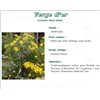 VERGE D'OR PLANTE PHARMA PLANTES, Verge d'or plante, vrac. coupée - sac 250 g