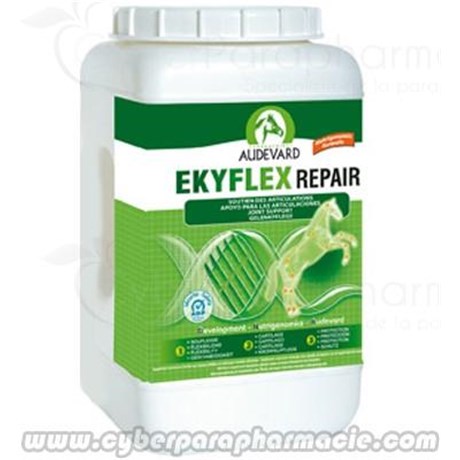 EKYFLEX REPAIR Protection réparation du cartilage 2 kg