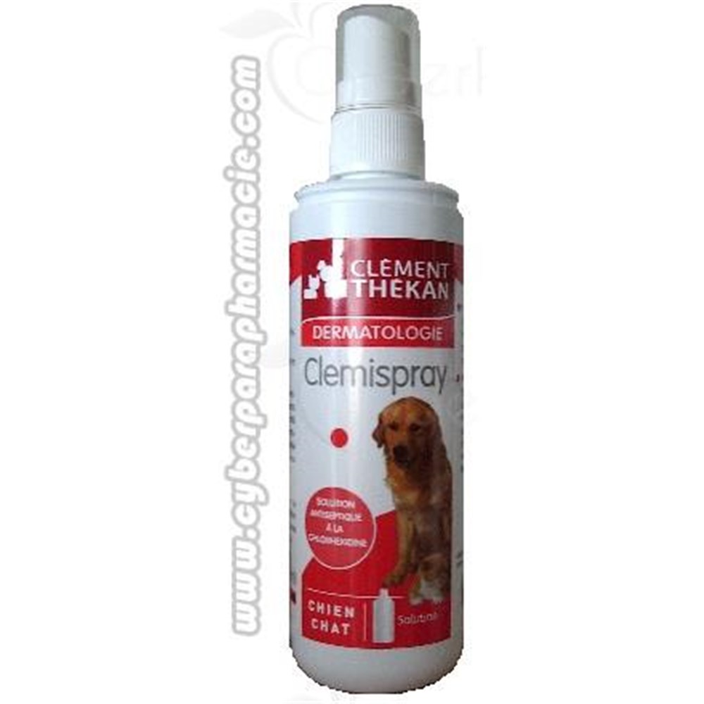 Can I Use Antiseptic Spray On My Dog