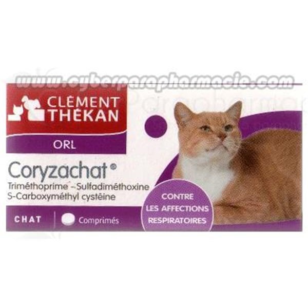 Clement Thekan Coryzachat Respiratory Diseases Of Cat