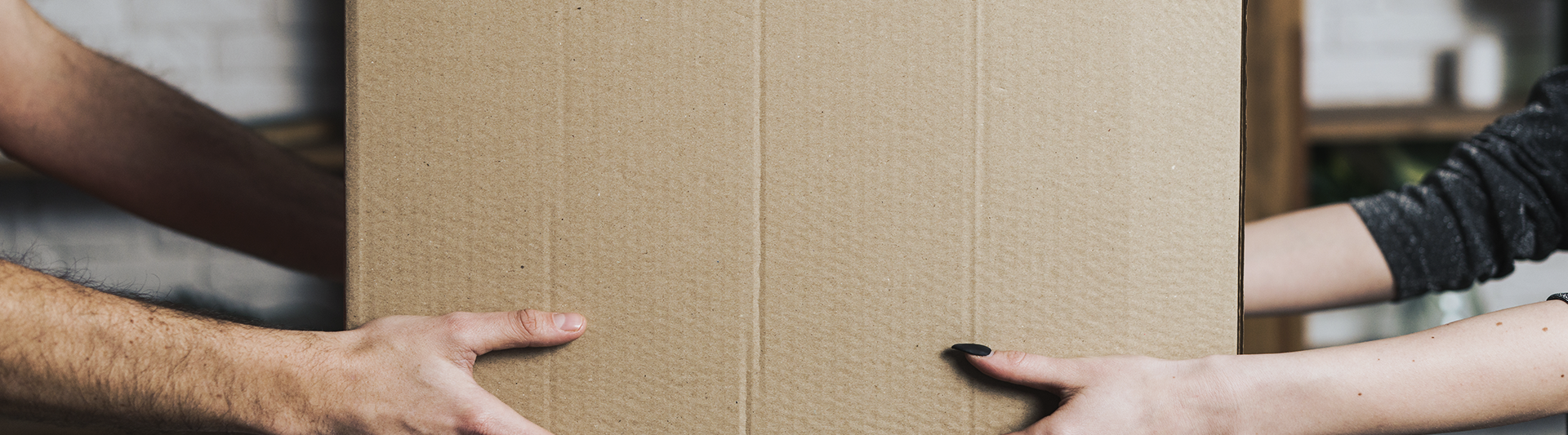 Sélection de l'été